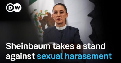 Mexico’s President Sheinbaum groped by man | DW News