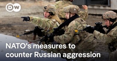 NATO nations boost protection of Arctic flank amid increasing Russian threats | DW News