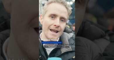 New AfD youth organization sparks major protest in Germany | DW News