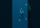 New freediving record: 86 meters, no fins | DW News