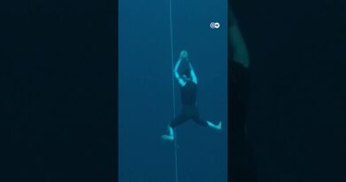 New freediving record: 86 meters, no fins | DW News