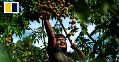 New Thai labour law gives Myanmar refugees a taste of freedom