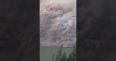 Newly opened bridge collapses in China | AJ #shorts