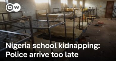Nigeria: Gunmen kidnap 25 people at a school | DW News