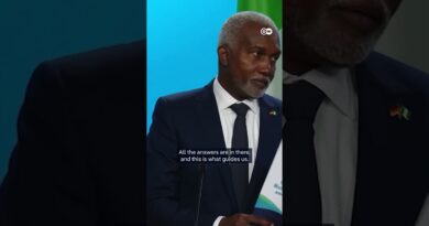 Nigerian FM: No government-backed religious persecution | DW News