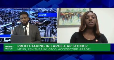 Norrenberger: Net effect of profit-taking, dividend outlook to drive NGX ASI