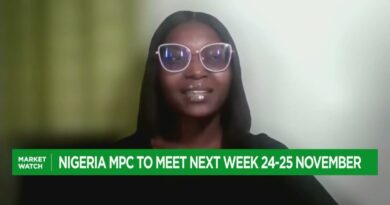 Norrenberger: Nigeria equities to see sustained profit taking