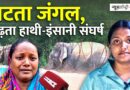 Odisha में बढ़ता हाथी-मानव संघर्ष, स्टोन क्रशर, खदानें हैं असली कारण या वजह कुछ और