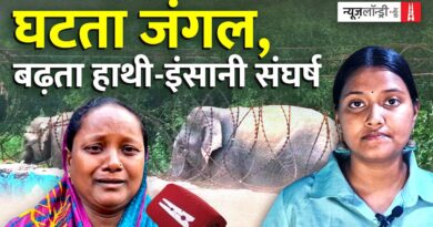 Odisha में बढ़ता हाथी-मानव संघर्ष, स्टोन क्रशर, खदानें हैं असली कारण या वजह कुछ और