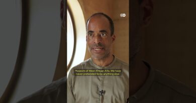 Opening of new museum showing the Benin Bronzes delayed over protests | DW News