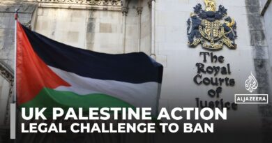 Palestine Action’s legal challenge against UK government ban begins