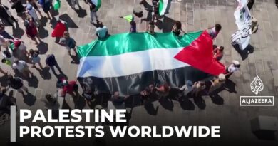 Palestine solidarity achievements: Palestinians hope momentum doesn’t fade away