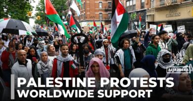 Palestine solidarity: Thousands attend marches around the world in support