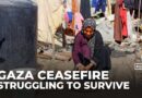 Palestinians struggling to survive despite the ceasefire in Gaza