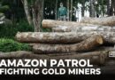 Patrolling the Amazon rainforest: Brazil’s environmental agency tackles illegal mining