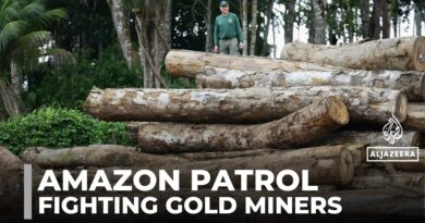 Patrolling the Amazon rainforest: Brazil’s environmental agency tackles illegal mining