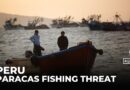 Peru’s nature reserve at risk: Supreme court set to rule on industrial fishing