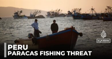 Peru’s nature reserve at risk: Supreme court set to rule on industrial fishing