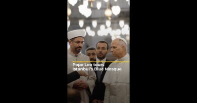 Pope Leo tours Istanbul’s Blue Mosque during Turkiye trip | AJ#shorts