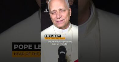 Pope urges Israel and Hezbollah to pursue dialogue over conflict | AJ #shorts