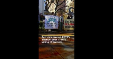 Pro-Palestine activists protest PETA’s ‘silence’ over Israel’s killing of animals | AJ#shorts