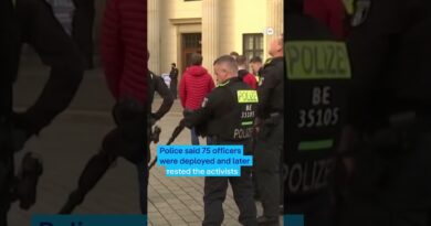 Pro-Palestinian protesters climb Brandenburg Gate | DW News