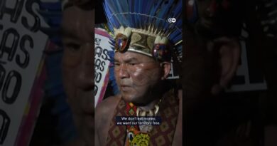 Protesters storm UN climate summit in Brazil | DW News