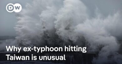 Remains of deadly typhoon to hit Taiwan | DW News