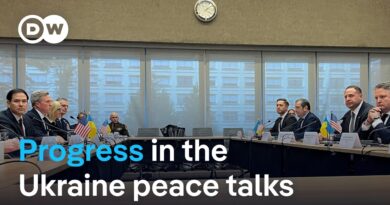 Revised Ukraine peace plan: Can Ukraine and Europe be relieved? | DW News