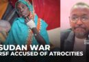 RSF atrocities in Sudan’s el-Fasher is ‘fake’, TASIS spokesperson says