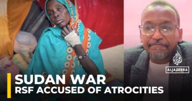 RSF atrocities in Sudan’s el-Fasher is ‘fake’, TASIS spokesperson says
