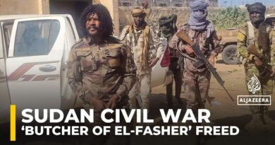 RSF fighter ‘Abu Lulu’, accused of atrocities in Sudan’s el-Fasher, freed
