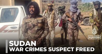 RSF fighter accused of atrocities freed: Arrested ‘Abu Lulu’ appears to have been released