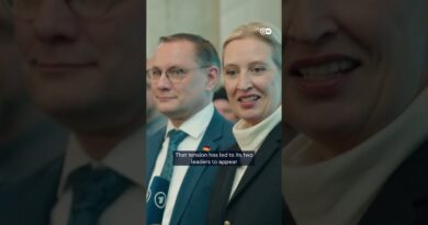 Russia rift rocks Germany’s AfD | DW News