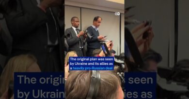 Russian strikes hit Kyiv overnight | DW News