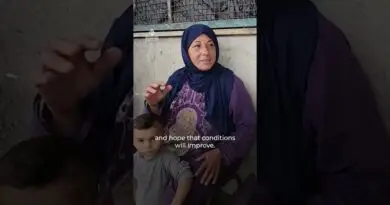 Schools by day, shelters by night: Students return to Gaza classrooms