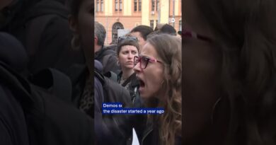 Serbians march in anniversary rally for deadly train station collapse | DW News