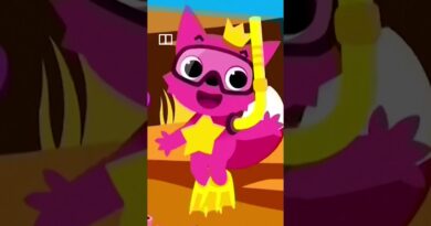 Shares in Baby Shark creator soar on IPO debut