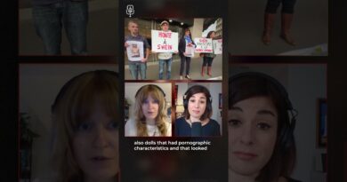 Shein ‘sex doll’ backlash in France #TheTake #Shorts #Podcast