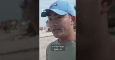 Shipwreck in Vietnam unearthed after Typhoon Kalmaegi