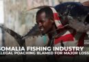 Somali fishermen struggle as trawlers drain millions from coastal waters