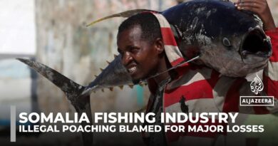 Somali fishermen struggle as trawlers drain millions from coastal waters
