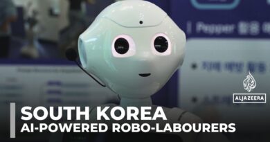 South Korea invests in AI-powered robots to tackle labour shortages