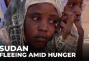Starvation crisis: People who fled el-Fasher are going hungry