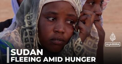 Starvation crisis: People who fled el-Fasher are going hungry