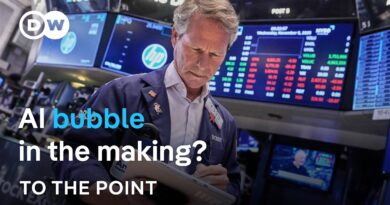 Stock market hype: Investors’ dream or nightmare on Wall Street? | To the Point