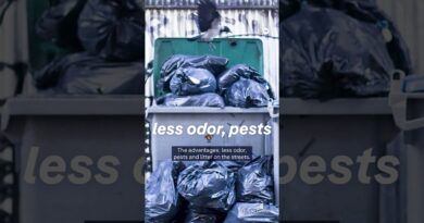 Suck it up! Transforming urban waste collection | DW News