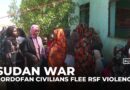 Sudan war: Khartoum receives influx of Kordofan families fleeing RSF violence