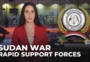 Sudan war: Rapid Support Forces explained