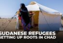 Sudanese refugees build new lives in Chad as war displaces millions